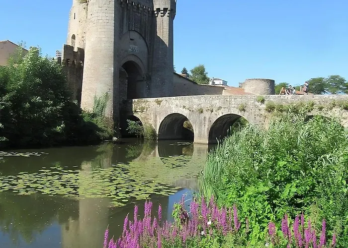 Les Camelias Hébergement de vacances