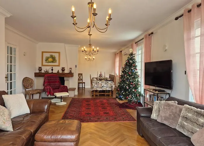 Les Camelias * Parthenay